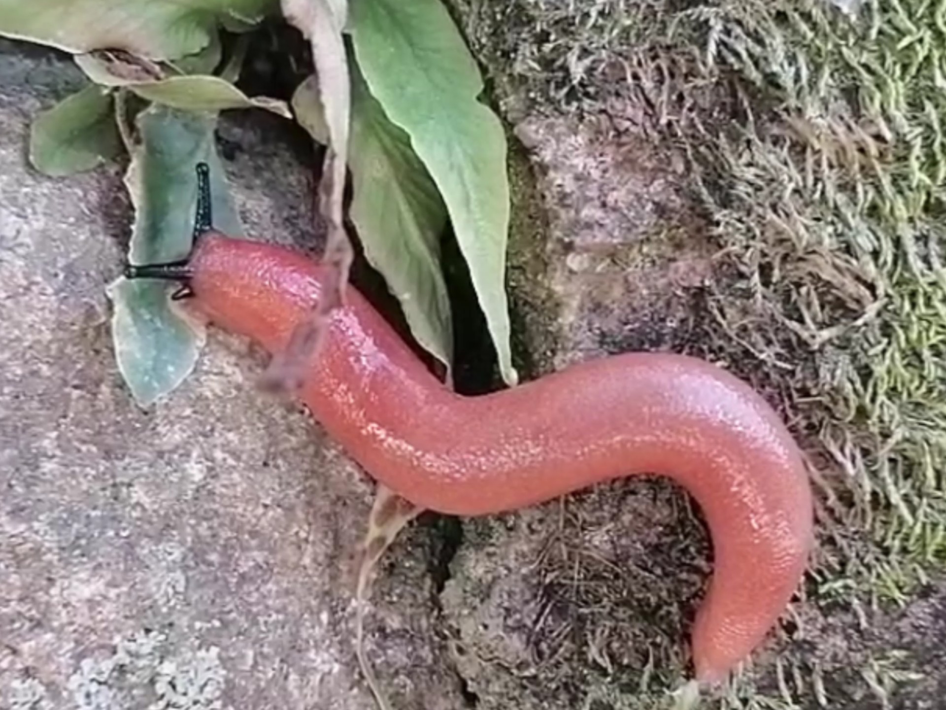 鋛?ュ?蟶h!??qM坃J~蜢獛`??!,QF}礕蝞蓙P??廝e嚓蜅^塄撨ㄛ蕦?戁D#H?X>?8	鶾$峫ノ囄适!ヒ史x"偦u1X贜锛?抆O5?	_歈5U"Qy馯o!抔换挷r??聡??Tm(badl和iadl)-九游体育官网